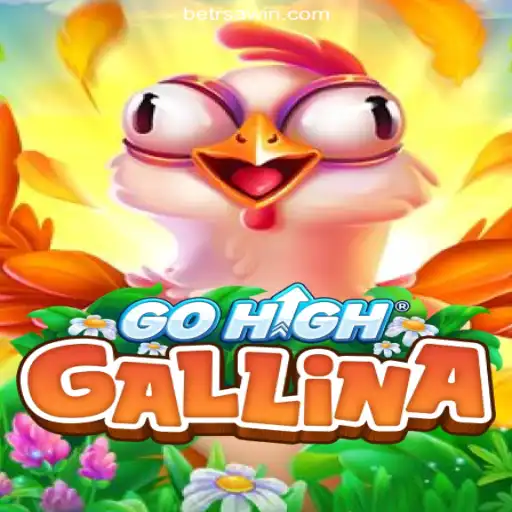 Exploring GoHighGallina and the RSAWIN.com Platform: Brazil's Premier Online Slots Experience